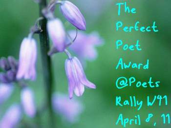 Perfect Poet Award